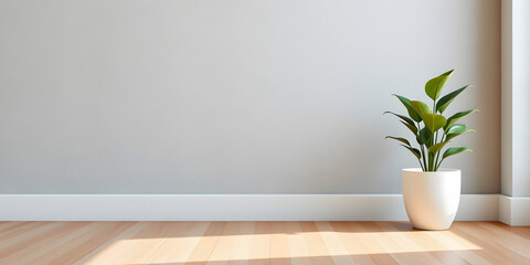 minimalist mockup of a white wall adorned with a vibrant green plant on a polished wood floor,split-color background wall creating a lively and cheerful atmosphere of modern interior design.