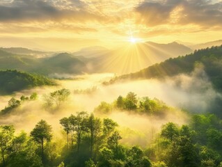 Majestic Sunrise Over Misty Mountains and Lush Green Forests