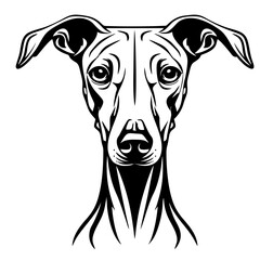 Elegant greyhound illustration: minimalist black and white line art of a dog. Azawakh dog