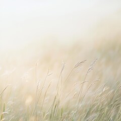 Obraz premium Serene Meadow with Gentle Breeze and Warm Sunlight in Soft Focus