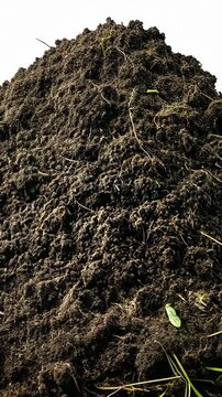Black soil pile enriched with organic matter found in an outdoor garden area during daylight hours