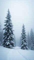 Fototapeta premium Snowy forest with two pine trees and a path. The trees are bare and the sky is cloudy