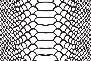 Snake scale texture vector illustration