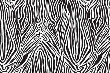 Tiger skin texture black and white	
