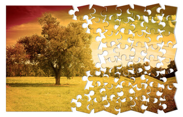 Isolated tree in a tuscany rural scene (Italy) - environmental conservation concept image in jigsaw...