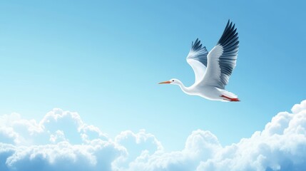 Obraz premium Elegant White Bird in Flight Against Clear Blue Sky Background