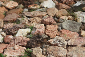 Textured Stone Wall: A rustic and detailed stone wall composed of various sized stones create a textural rich surface that tells a story of resilience.