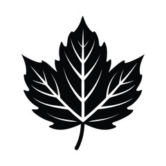 autumn leaf icon of silhouette black shape vector illustration isolated on white background