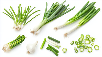set of spring onions isolated on white background