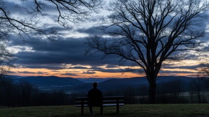 Solitary teenager sitting on park bench gazing at distant sunset, surrounded by empty space, symbolizing isolation and introspection. Youthful reflection and emotional solitude concept.	