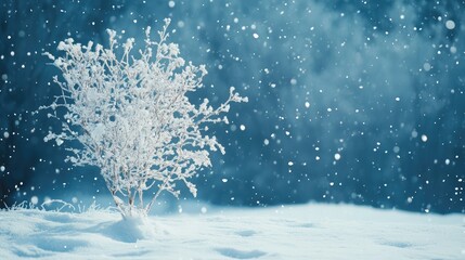 Winter christmas background with snow tree and lots of copy space