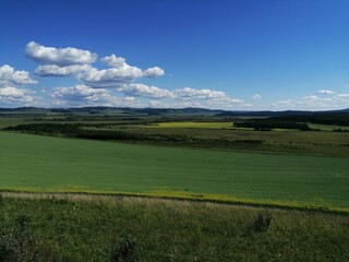 Summer landscape. Look to the horizon