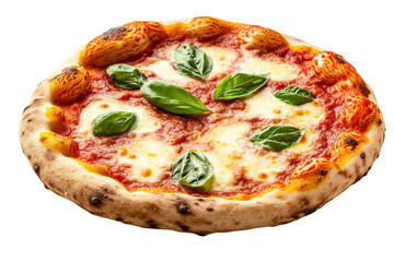 Close up of a freshly baked pizza with tomato sauce mozzarella cheese and fresh basil leaves against a transparent backdrop