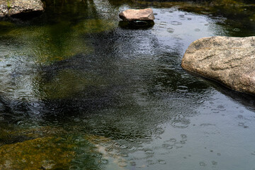 ripples caused by the rains on the pond surface