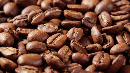 Arabica Coffee Beans Maragogipe Background. Elephant Beans