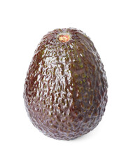 One whole ripe avocado isolated on white