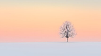 Fototapeta premium Solitary tree stands against winter sunset snowy landscape nature photography tranquil environment minimalist viewpoint