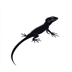 Obraz premium Silhouette of a Spiny Lizard with a Long Tail, Sharp Claws, and Detailed Head on a Clean White Background