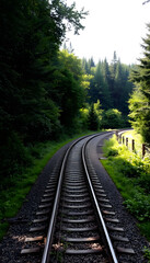Obraz premium Railroad tracks winding through a green forest. with white shades