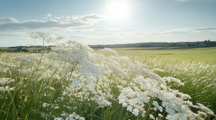 Obraz premium Sun-Drenched Flora in a Flourishing Landscape