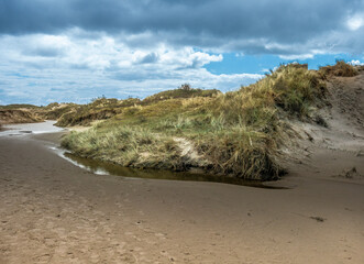 beach and dunes