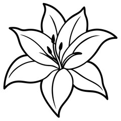 lirs flower vector white background