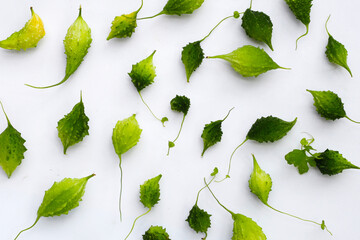 Balsam pear, Bitter cucumber, Leprosy gourd