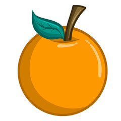 vector illustration of orange juice