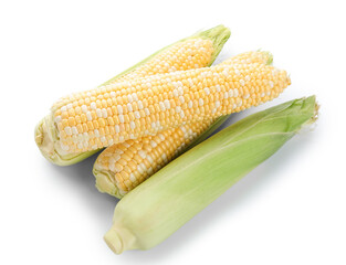Fresh corn cobs on white background