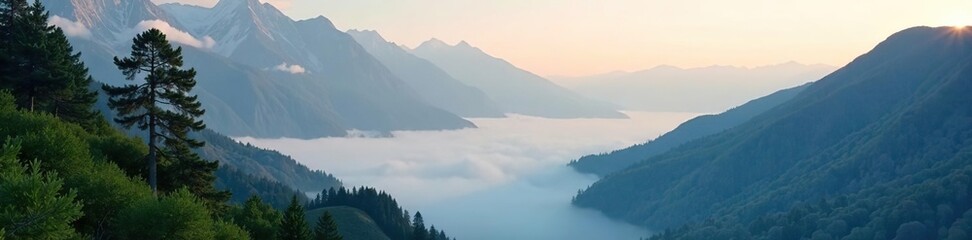 Obraz premium Misty low clouds cling to mountain tree branches, scenery, mountain, landscape