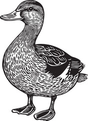 Duck in a black and white print style