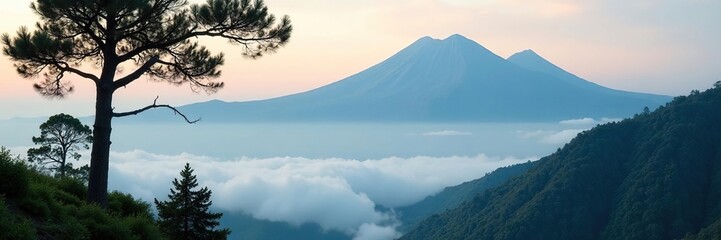 Misty low clouds cling to mountain tree branches, scenery, cloud, tree