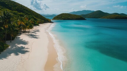 Obraz premium A tropical beach with vibrant turquoise waters meeting soft white sand, bordered by swaying palm trees under the warm sun