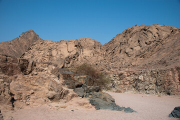 Exploring the Nabq Nature Reserve in Sharma El-Sheikh, Egypt.