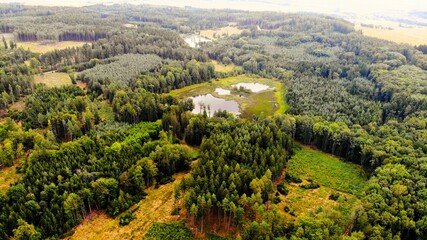 beautiful lake in forest