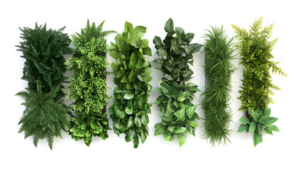 Artificial plants decorative panel isolated on white, collection