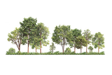 Group of tree. Green treeline isolated on white backgroundand charity. png file.	
