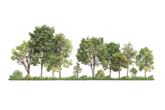 Group of tree. Green treeline isolated on white backgroundand charity. png file.	