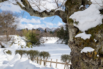 雪の積もった冬の鶴ヶ城公園のお堀