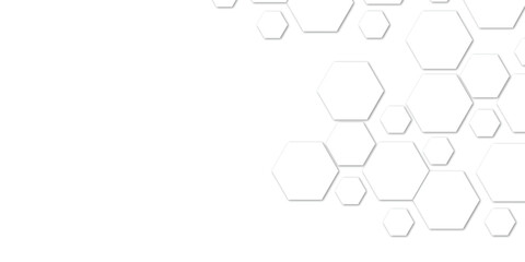 Abstract technology white geometric hexagon on transparent concept design honeycomb shape vector. 