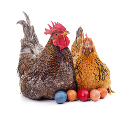 Hen and rooster with eggs.