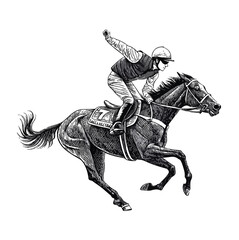 A rider is competing on an eventing horse.