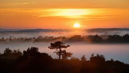 nebliger sonnenaufgang in brandenbzrg