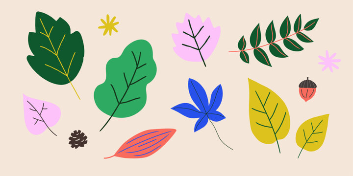 Seasonal leaves in various shapes and colors