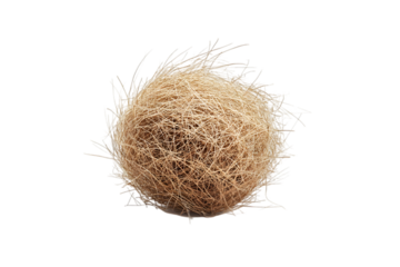 Desert tumbleweed isolated on white background