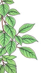 Obraz premium Green Leaves, doodle art. with white shades