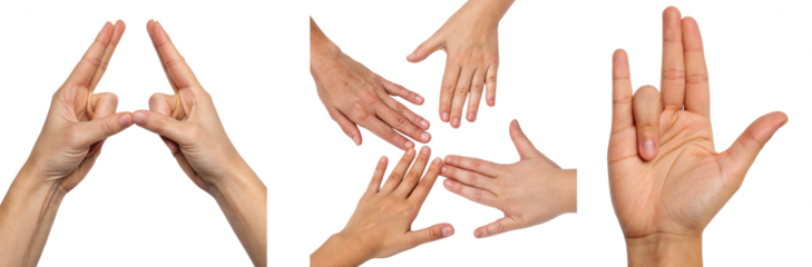 A collection of hands displaying various gestures, including an open hand, a fist, and a pointing finger.