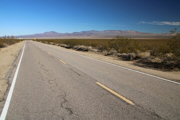 Mojave Desert Preserve California