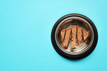 Wet pet food in feeding bowl on light blue background, top view. Space for text