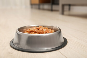 Wet pet food in feeding bowl on floor indoors